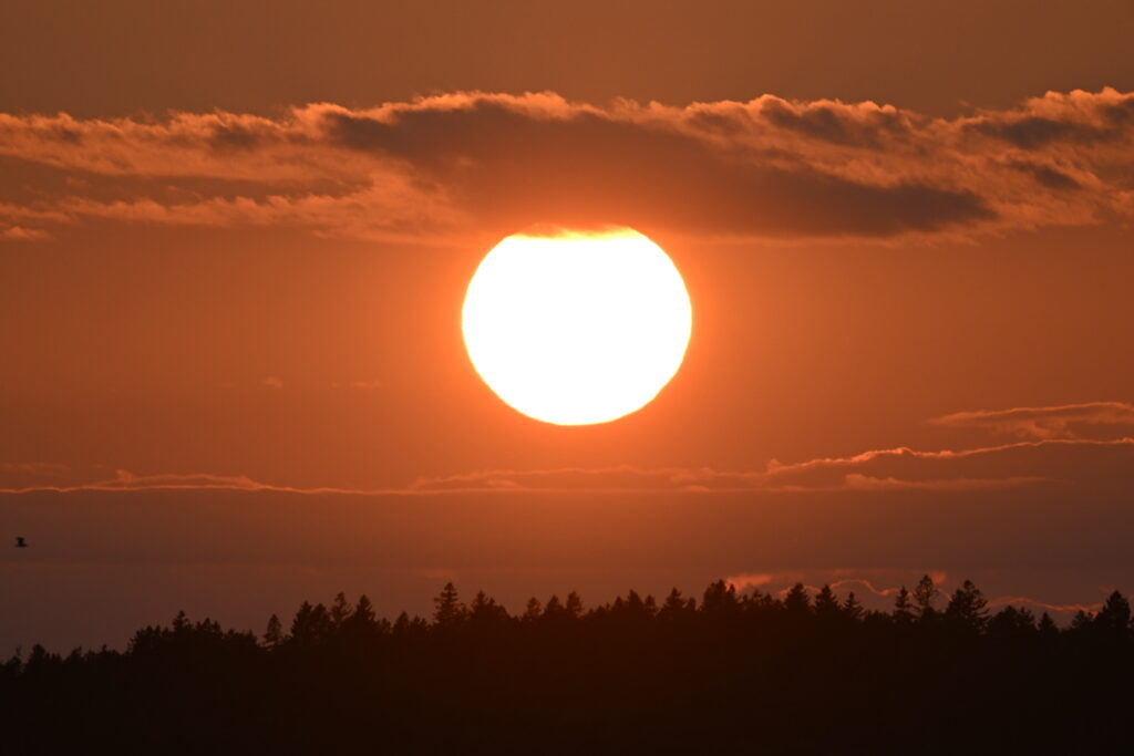 The programs featured image